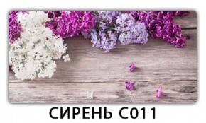 Стол раздвижной Трилогия с фотопечатью Орхидея C013 в Соликамске - solikamsk.mebel24.online | фото 16