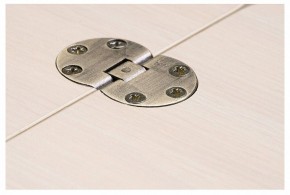 Стол-трансформер Престиж в Соликамске - solikamsk.mebel24.online | фото 10