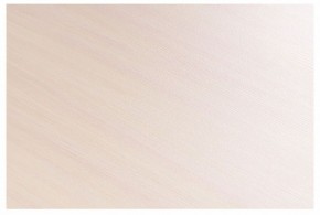Стол-трансформер Престиж в Соликамске - solikamsk.mebel24.online | фото 8