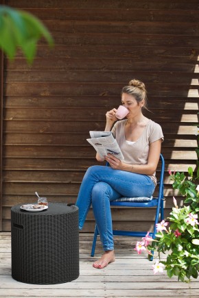 Столик-холодильник Кул-Стул (Cool stool) графит в Соликамске - solikamsk.mebel24.online | фото 1
