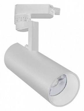 Светильник на штанге Escada 20029 20029TRA/02LED SWH в Соликамске - solikamsk.mebel24.online | фото