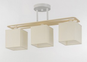 Светильник на штанге Escada Ares 1117/3PL в Соликамске - solikamsk.mebel24.online | фото 4