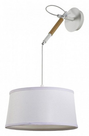 Светильник на штанге F-promo Eureka 3005-1P в Соликамске - solikamsk.mebel24.online | фото 2