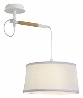 Светильник на штанге F-promo Eureka 3005-1P в Соликамске - solikamsk.mebel24.online | фото 4