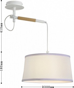 Светильник на штанге F-promo Eureka 3005-1P в Соликамске - solikamsk.mebel24.online | фото 5