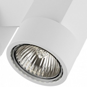 Светильник на штанге Lightstar Illumo X2 051036 в Соликамске - solikamsk.mebel24.online | фото 2
