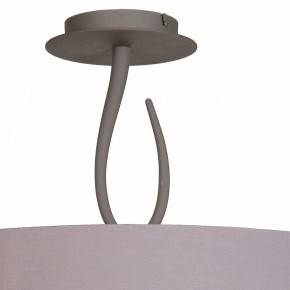 Светильник на штанге Mantra Lua 3690 в Соликамске - solikamsk.mebel24.online | фото
