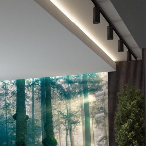 Светильник на штанге Novotech Dep 358595 в Соликамске - solikamsk.mebel24.online | фото 3