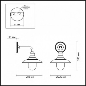 Светильник на штанге Odeon Light Campa 4965/1W в Соликамске - solikamsk.mebel24.online | фото 4