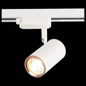 Светильник на штанге ST-Luce Cromi ST301.526.01 в Соликамске - solikamsk.mebel24.online | фото 6