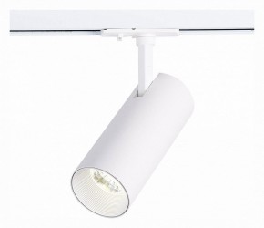 Светильник на штанге ST-Luce Mono ST350.536.20.36 в Соликамске - solikamsk.mebel24.online | фото 2