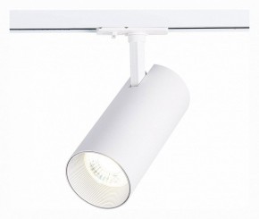 Светильник на штанге ST-Luce Mono ST350.536.30.36 в Соликамске - solikamsk.mebel24.online | фото 2
