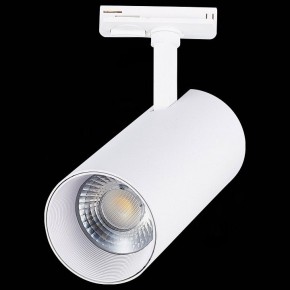 Светильник на штанге ST-Luce Mono ST350.536.30.36 в Соликамске - solikamsk.mebel24.online | фото 6