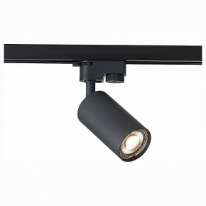 Светильник на штанге ST-Luce Solt ST300.406.01 в Соликамске - solikamsk.mebel24.online | фото 1