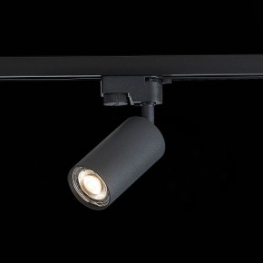 Светильник на штанге ST-Luce Solt ST300.406.01 в Соликамске - solikamsk.mebel24.online | фото 6