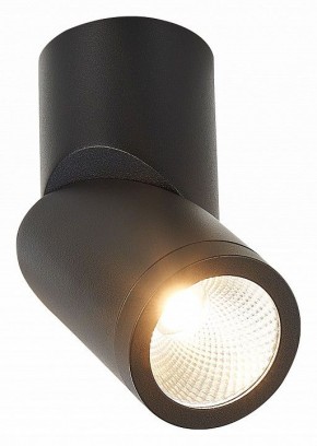Светильник на штанге ST-Luce ST650 ST650.442.10 в Соликамске - solikamsk.mebel24.online | фото 2