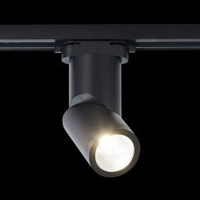 Светильник на штанге ST-Luce ST650 ST650.446.10 в Соликамске - solikamsk.mebel24.online | фото 2