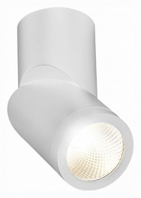 Светильник на штанге ST-Luce ST650 ST650.542.10 в Соликамске - solikamsk.mebel24.online | фото 3