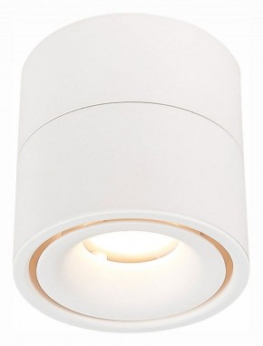 Светильник на штанге ST-Luce ST652 ST652.532.12 в Соликамске - solikamsk.mebel24.online | фото 2