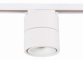 Светильник на штанге ST-Luce ST652 ST652.546.12 в Соликамске - solikamsk.mebel24.online | фото 2