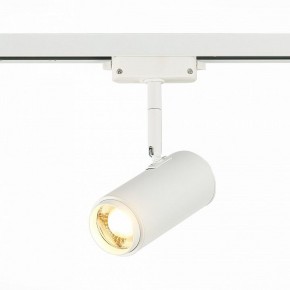 Светильник на штанге ST-Luce Zoom ST600.536.12 в Соликамске - solikamsk.mebel24.online | фото 2