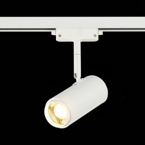 Светильник на штанге ST-Luce Zoom ST600.536.12 в Соликамске - solikamsk.mebel24.online | фото 4