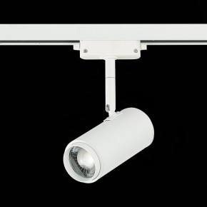 Светильник на штанге ST-Luce Zoom ST600.546.12 в Соликамске - solikamsk.mebel24.online | фото 5