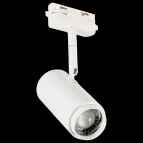 Светильник на штанге ST-Luce Zoom ST600.546.12 в Соликамске - solikamsk.mebel24.online | фото 6