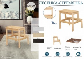 Табурет Стремянка в Соликамске - solikamsk.mebel24.online | фото 4