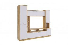 ТОКИО Мини-стенка (дуб крафт золотой/белое дерево) в Соликамске - solikamsk.mebel24.online | фото
