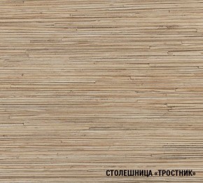 ТОМИЛЛА Кухонный гарнитур Оптима 5 (2700*1600 мм ) в Соликамске - solikamsk.mebel24.online | фото 6