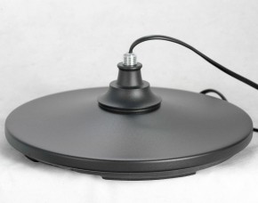 Торшер Lussole Greene LSP-0572 в Соликамске - solikamsk.mebel24.online | фото 4
