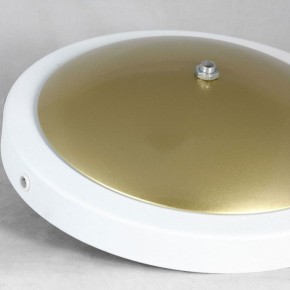 Торшер Lussole LSP-062 LSP-0625 в Соликамске - solikamsk.mebel24.online | фото 2