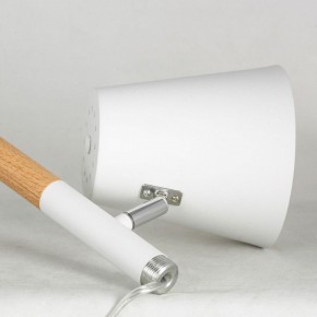 Торшер Lussole Buckeye LSP-0628 в Соликамске - solikamsk.mebel24.online | фото 4