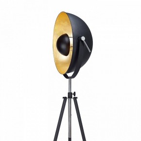 Торшер Lussole Sherrelwood LSP-9824 в Соликамске - solikamsk.mebel24.online | фото 2