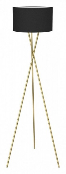 Торшер Lussole Truxton LSP-0635 в Соликамске - solikamsk.mebel24.online | фото