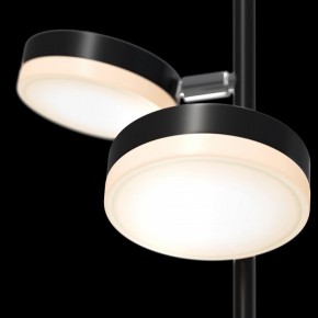 Торшер Maytoni Fad MOD070FL-L12B3K в Соликамске - solikamsk.mebel24.online | фото