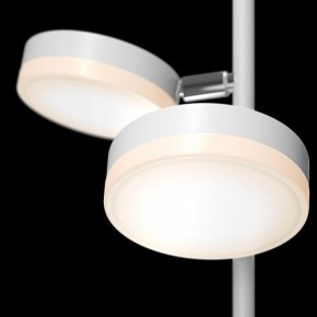 Торшер Maytoni Fad MOD070FL-L12W3K в Соликамске - solikamsk.mebel24.online | фото 5