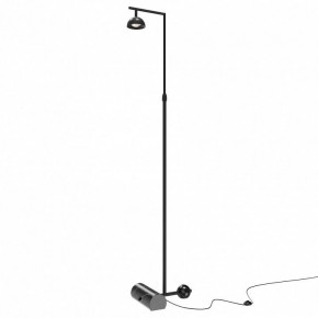 Торшер Maytoni Pikant MOD372FL-L10B3K в Соликамске - solikamsk.mebel24.online | фото