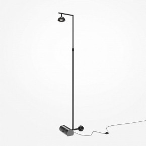 Торшер Maytoni Pikant MOD372FL-L10B3K в Соликамске - solikamsk.mebel24.online | фото 2