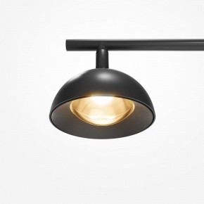 Торшер Maytoni Pikant MOD372FL-L10B3K в Соликамске - solikamsk.mebel24.online | фото 7
