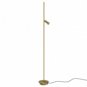 Торшер Maytoni Thin MOD395FL-L28BS3K в Соликамске - solikamsk.mebel24.online | фото