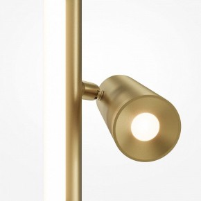 Торшер Maytoni Thin MOD395FL-L28BS3K в Соликамске - solikamsk.mebel24.online | фото 5