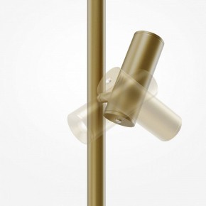 Торшер Maytoni Thin MOD395FL-L28BS3K в Соликамске - solikamsk.mebel24.online | фото 6