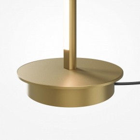 Торшер Maytoni Thin MOD395FL-L28BS3K в Соликамске - solikamsk.mebel24.online | фото 7