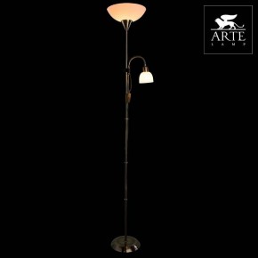 Торшер с подсветкой Arte Lamp Duetto A9569PN-2AB в Соликамске - solikamsk.mebel24.online | фото 3