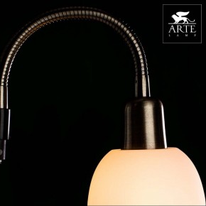 Торшер с подсветкой Arte Lamp Duetto A9569PN-2AB в Соликамске - solikamsk.mebel24.online | фото 4