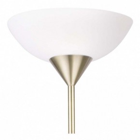 Торшер с подсветкой Arte Lamp Duetto A9569PN-2AB в Соликамске - solikamsk.mebel24.online | фото 5