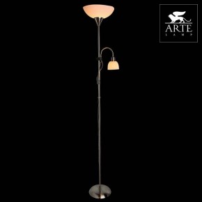 Торшер с подсветкой Arte Lamp Duetto A9569PN-2SS в Соликамске - solikamsk.mebel24.online | фото 3