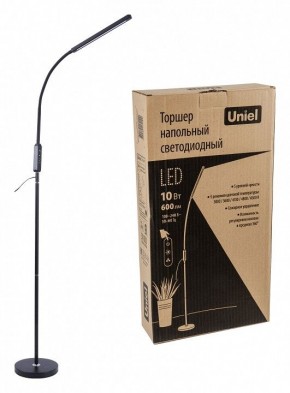 Торшер Uniel ULM-T619 UL-00010178 в Соликамске - solikamsk.mebel24.online | фото 2
